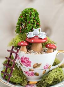 Image for event: Mary's Craft Corner: Fairy Garden Teacup
